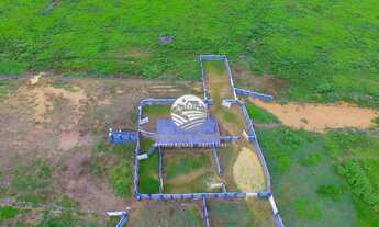 Imagem 7: Venda - Fazenda - Machadinho D'Oeste - 214 Alqueires top tim