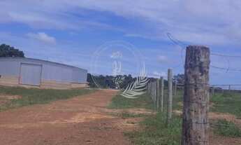 Imagem 2: Fazenda à venda, Rural, TESOURO - MT