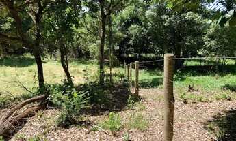 Imagem 6: Chácara 4000m², Frente GO-040, Terra de Cultura, Pés de Frutas, Cercada, 70km Goiânia