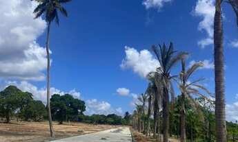 Imagem 7: Tt - Lotes Em Caucaia A 7 Minutos Do Shopping Com Parcelas A Partir De R$ 225. compareça