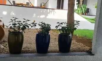 Imagem 4: Casa no Bairro Boa Esperança