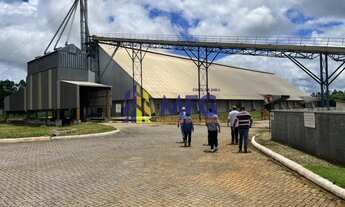 Imagem 4: Fazenda em Nova Mutum MG