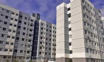 Imagem 6: APARTAMENTO SÃO CRISTÓVÃO VERDE MONTE FLORATA NO ROSA ELZE