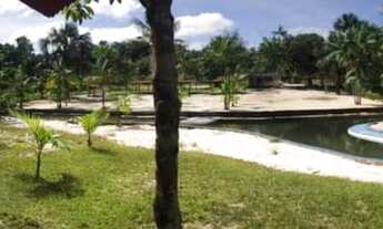 Imagem 3: Chácara Morada dos Nobres, lotes 15x40, na Am 010 km 35 + 7km de ramal. com igarapé na áre