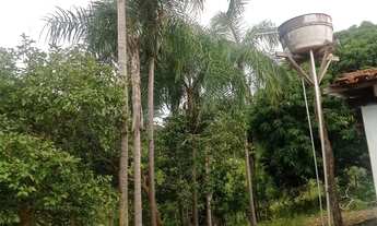 Imagem 6: Vende se esse dois sítios