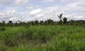 Imagem 5: VENDE-SE SÍTIO 13 ALQUERES