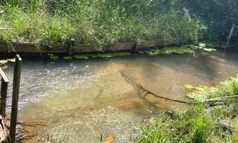 Imagem 4: Sítio em Curuçá com Igarapé