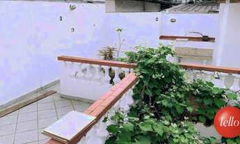 Imagem 6: São Paulo - Casa Padrão - Moema