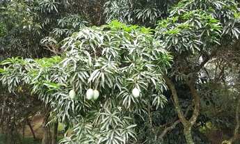 Imagem 3: CASA RESIDENCIAL em ITU - SP, CONDOMÍNIO TERRAS DE SÃO JOSÉ