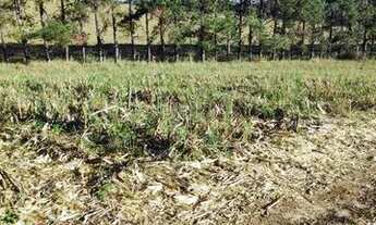 Imagem 3: Terrenos Em Atibaia Parcelamos Sem Juros 700M Otimo Para Investimento. 3M-::bH11hK