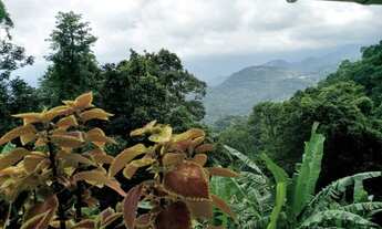 Imagem 7: Vendo chácara bairro Santa rosa