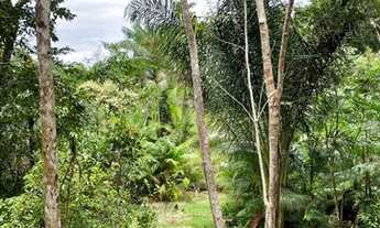 Imagem 6: Sítio em Curuçá com Igarapé