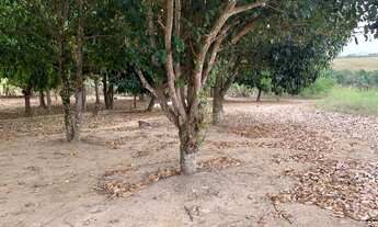 Imagem 5: Vendo/Troco Sitio na sede de alto alegre