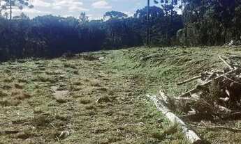 Imagem 2: EVA - VENHA REALIZAR SEU SONHO !