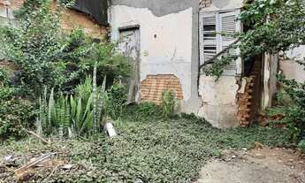 Imagem 2: São Paulo - Terreno Padrão - Vila Prudente