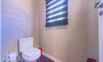 Imagem 7: São Bernardo do Campo - Casa Padrão - Parque dos Pássaros