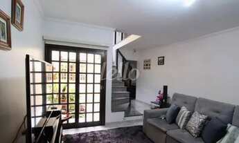 Imagem 6: Santo André - Casa Padrão - Vila Floresta