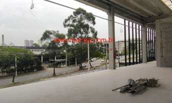 Imagem 2: BARUERI - Galpão/Depósito/Armazém - TAMBORÉ