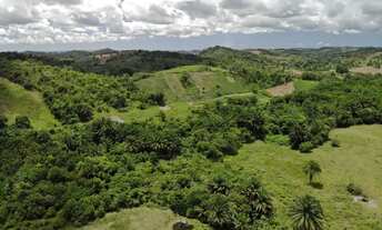 Imagem: Vendo fazendinha em Nazaré das farinha
