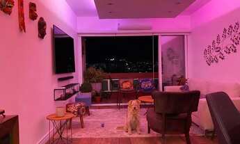 Imagem 4: Ótimo apartamento 3 dormitórios, suíte, vaga escriturada, elevador, vista perene