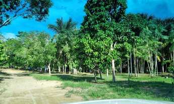 Imagem: Vendo um sítio no km 02 de Novo Airao-Am