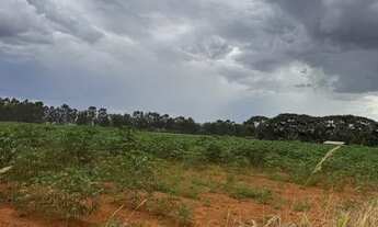 Imagem 6: Chácara a venda na DF-100 com 13 hectares