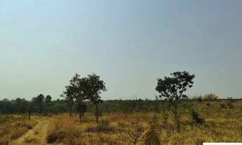 Imagem 7: CAFÉ SEM TROCO - FAZENDA COM 47 HECTARES BEIRA DO ASFALTO