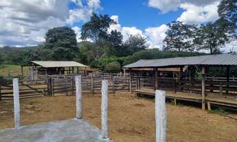 Imagem 5: Sítio 30 alqueires em Pirenópolis Goiás