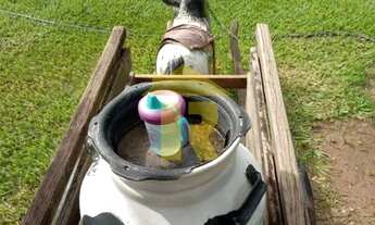 Imagem 5: CHACARA RESIDENCIAL em GUAPIAÇU - SP, ESTÂNCIA SÃO PAULO