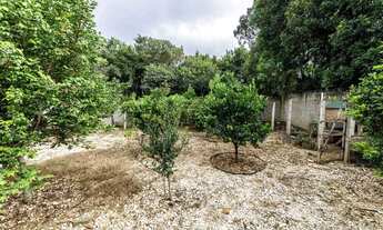 Imagem 5: Casa em Santa Felicidade