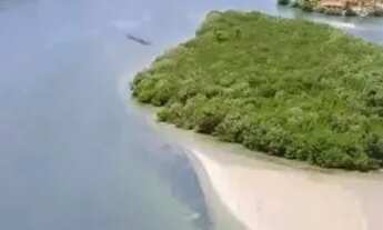 Imagem 2: Lote nascente 450m² Cond. Ilha da Lagoa com pier, entrada Praia do Saco Litoral Sul