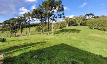 Imagem 4: CAXIAS DO SUL - Terreno Padrão - ANA RECH