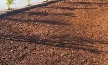 Imagem 5: Área. Gurmet rural