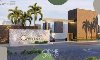 Imagem: Lançamento de Casas em Barreirinhas