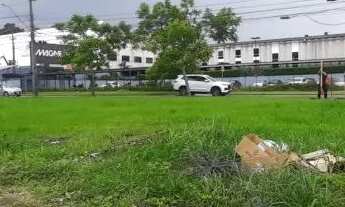 Imagem 2: ÁREA COSTEIRA / OURO FINO