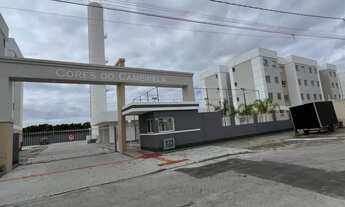 Imagem 2: Apartamento para aluguel 2 quarto(s) nova palhoça palhoça