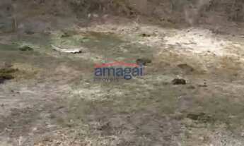 Imagem 4: Lindo terreno de chácara pouco aclive