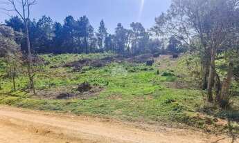 Imagem 3: Vendas Terreno Tijucas Do Sul PR