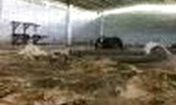 Imagem 7: TERRENO BEIRA DE RIO / ESTALEIRO, COM 300 METROS, COM GALPAO DE 600M2