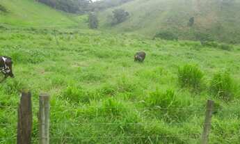 Imagem: Venda-se está propriedade de 43,5 no Município