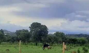 Imagem 3: AREA PARA LOCAÇÃO DE 33.000m² - AV. LA PAZ