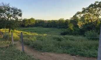 Imagem 4: Fazenda em Paracatu MG de 213 hectares com 70 hectares de área plana ideal para criação de