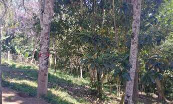 Imagem 7: Vende se ou troca sitio em juquitiba