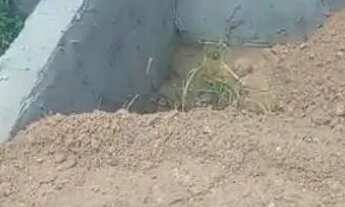 Imagem 7: Terreno em Ubatuba a venda