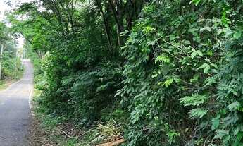 Imagem: Chácara Estância Vargem Bonita