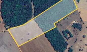 Imagem: 2 alqueires 50 km de Goiânia 40 formado