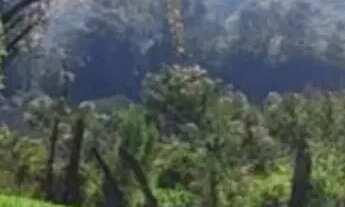 Imagem: Terrenos na região de São Roque - SP