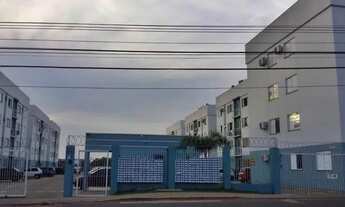 Imagem: Apartamento no bairro Santa Cruz com 2 quartos