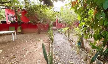 Imagem 6: LINDA CHÁCARA EM MARIAPOLIS-GO