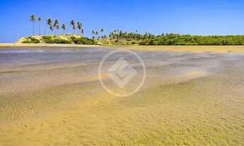 Imagem 4: VENDO TERRENO PÉ NA AREIA (1.586m²) na Linha Verde